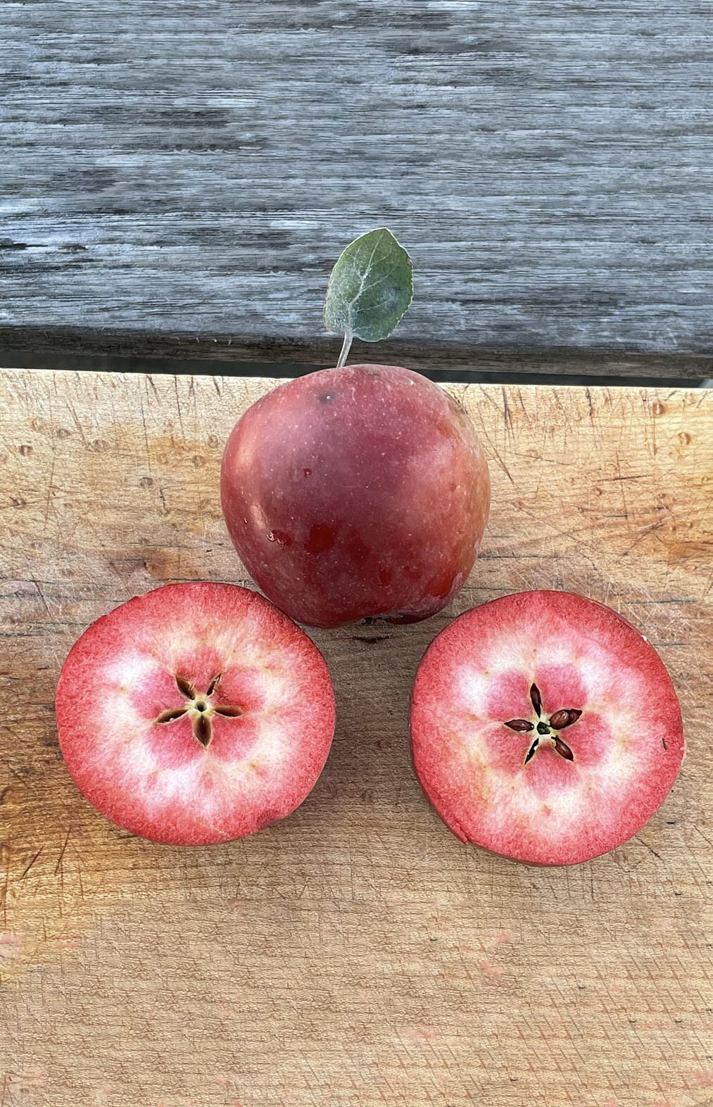 Almata Apple