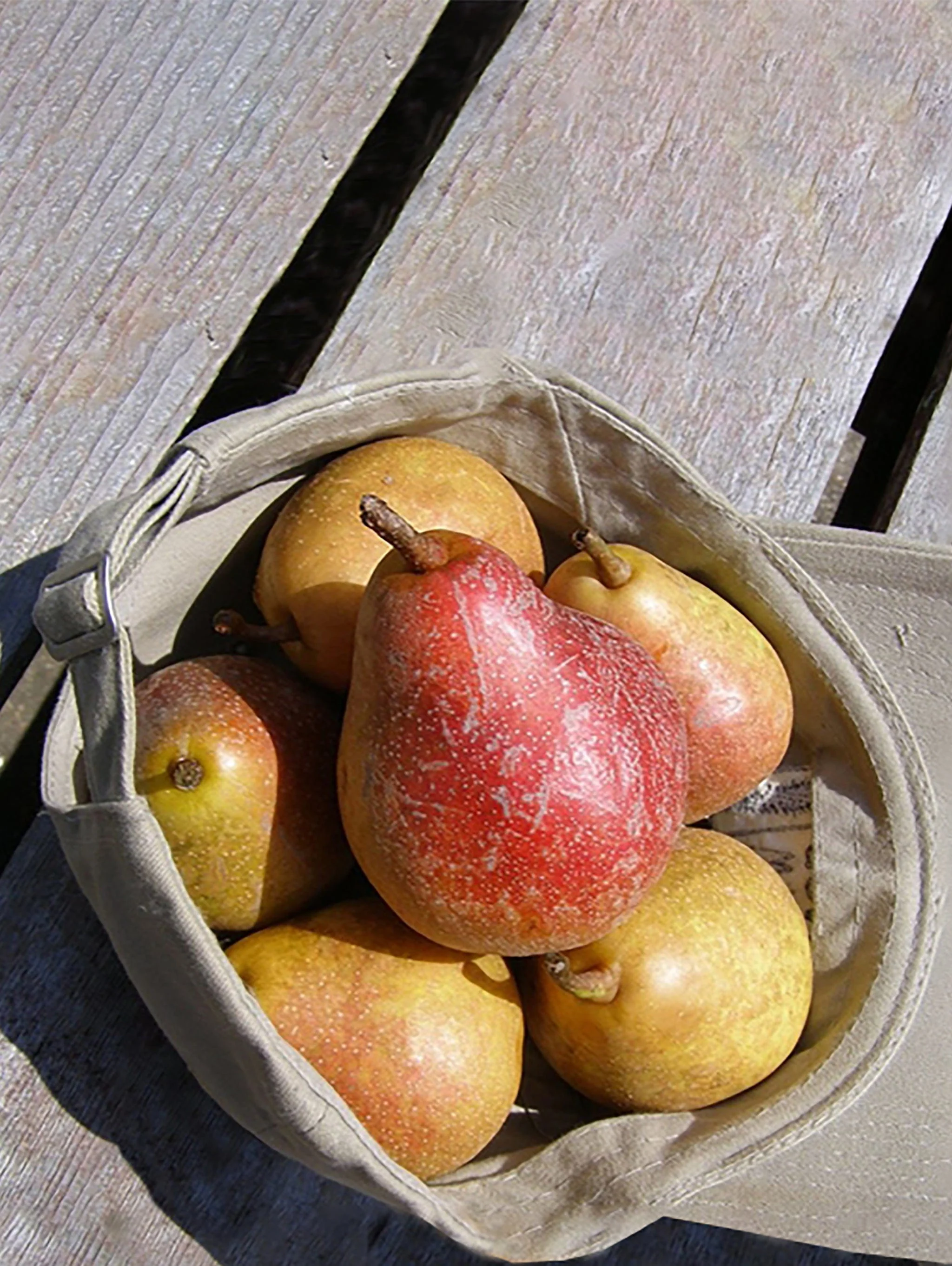 Moonglow Pear
