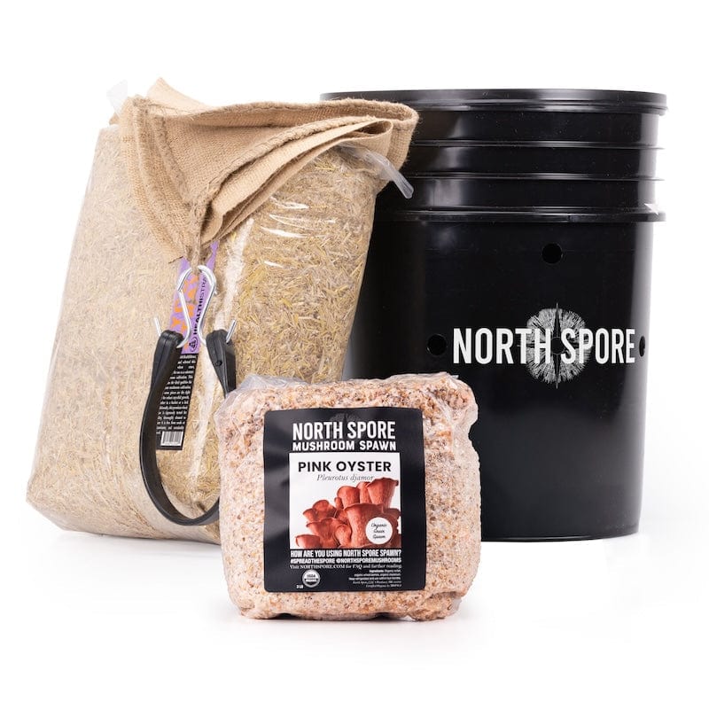 'MushBucket' Blue Oyster Mushroom Bucket Grow Kit - Image 6