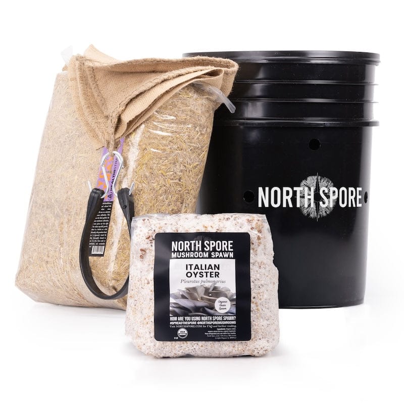'MushBucket' Blue Oyster Mushroom Bucket Grow Kit - Image 7