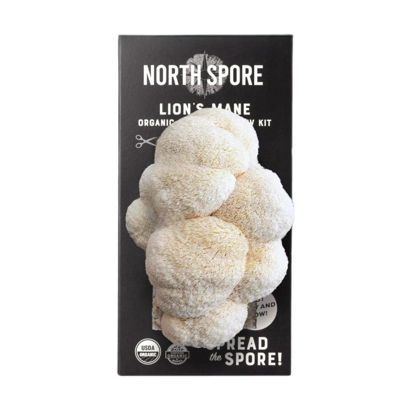 Organic Lion's Mane âSpray & Growâ Mushroom Growing Kit
