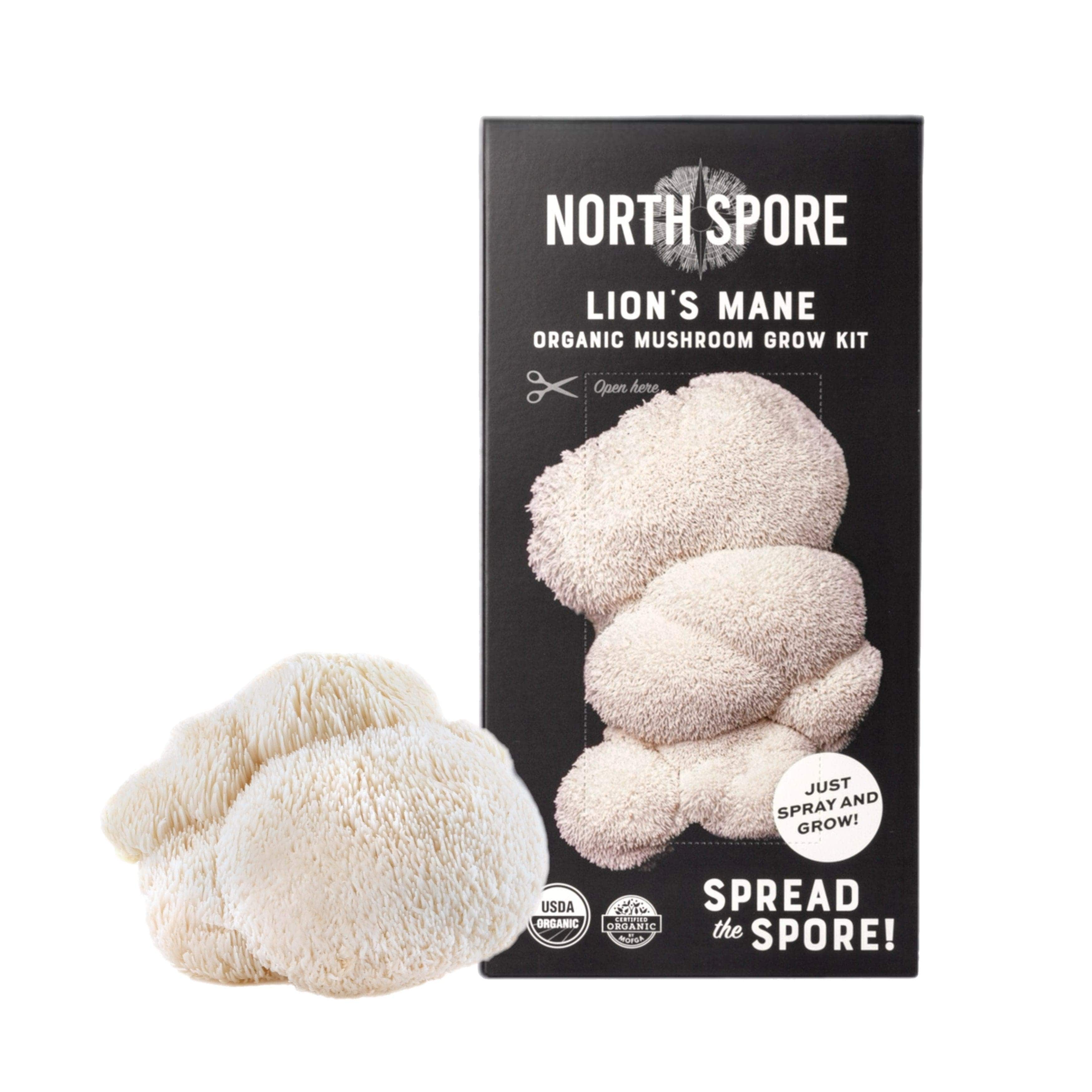 Organic Lion's Mane âSpray & Growâ Mushroom Growing Kit - Image 4