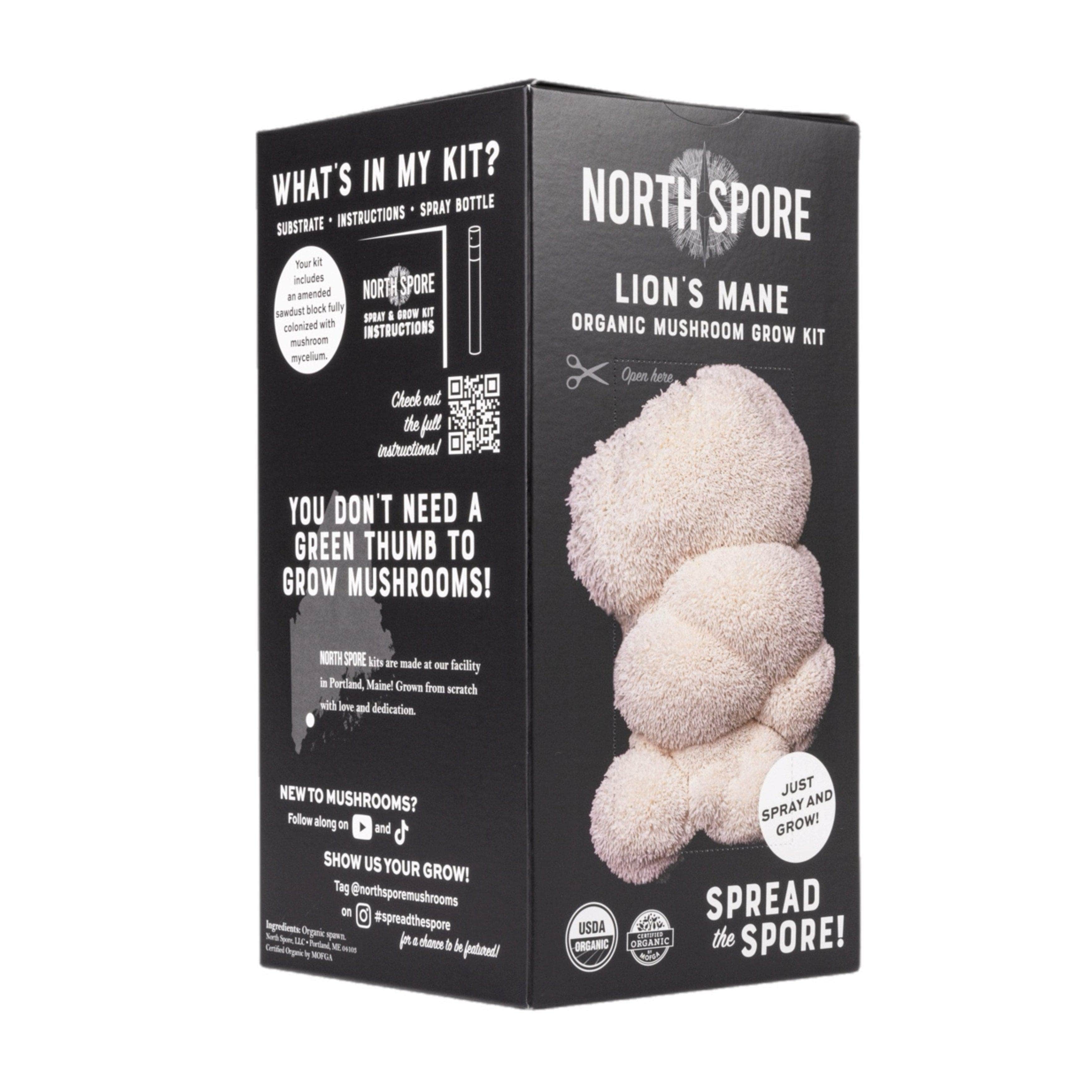 Organic Lion's Mane âSpray & Growâ Mushroom Growing Kit - Image 5