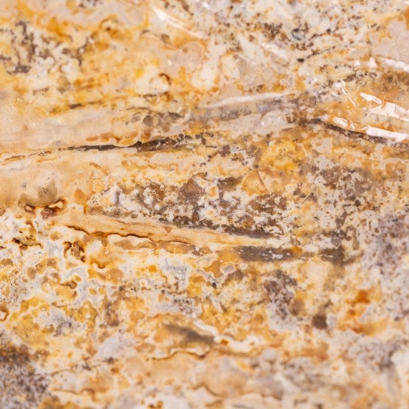 Organic Red Reishi Mushroom Sawdust Spawn - Image 2
