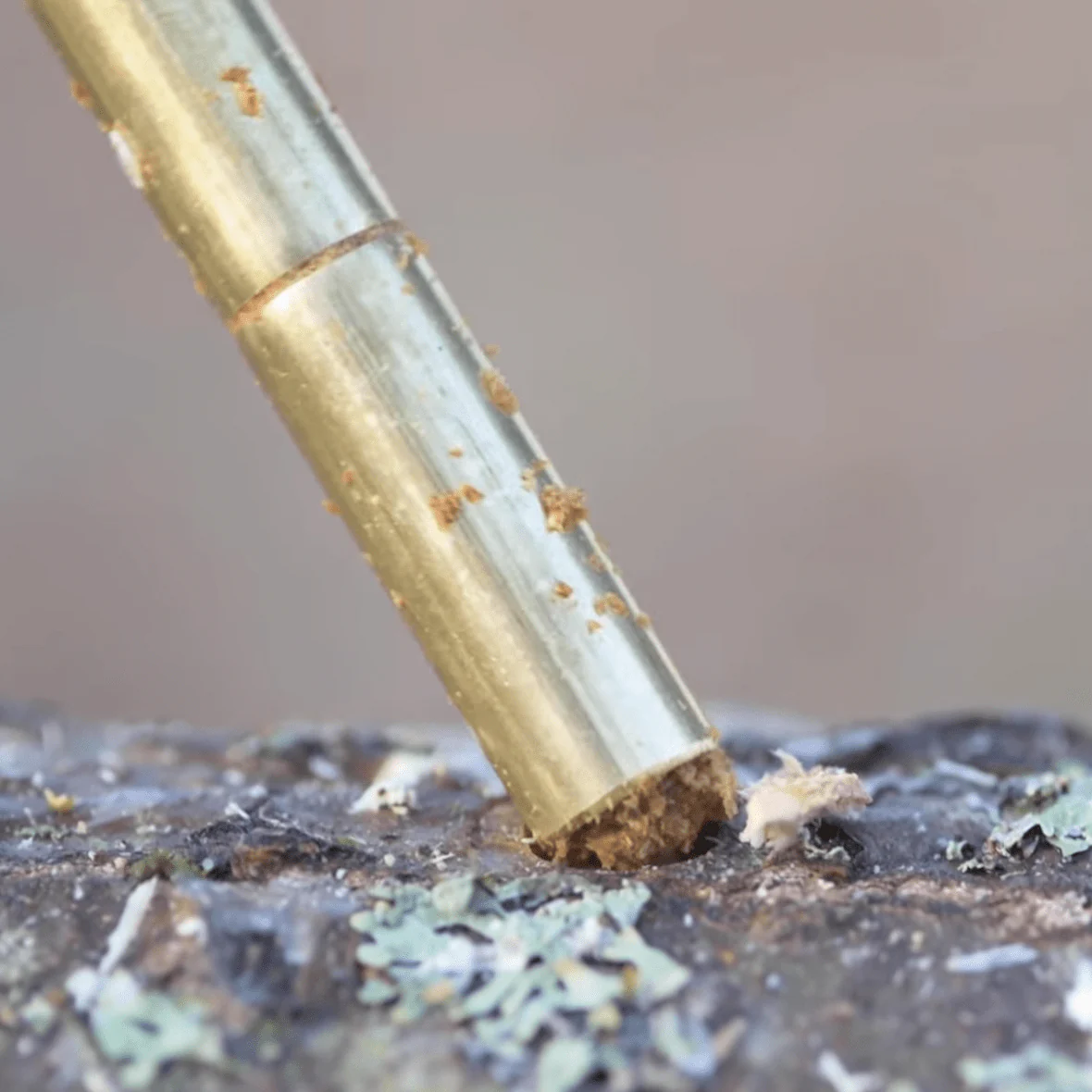 Sawdust Spawn Thumb Press Log Inoculation Tool - Image 2