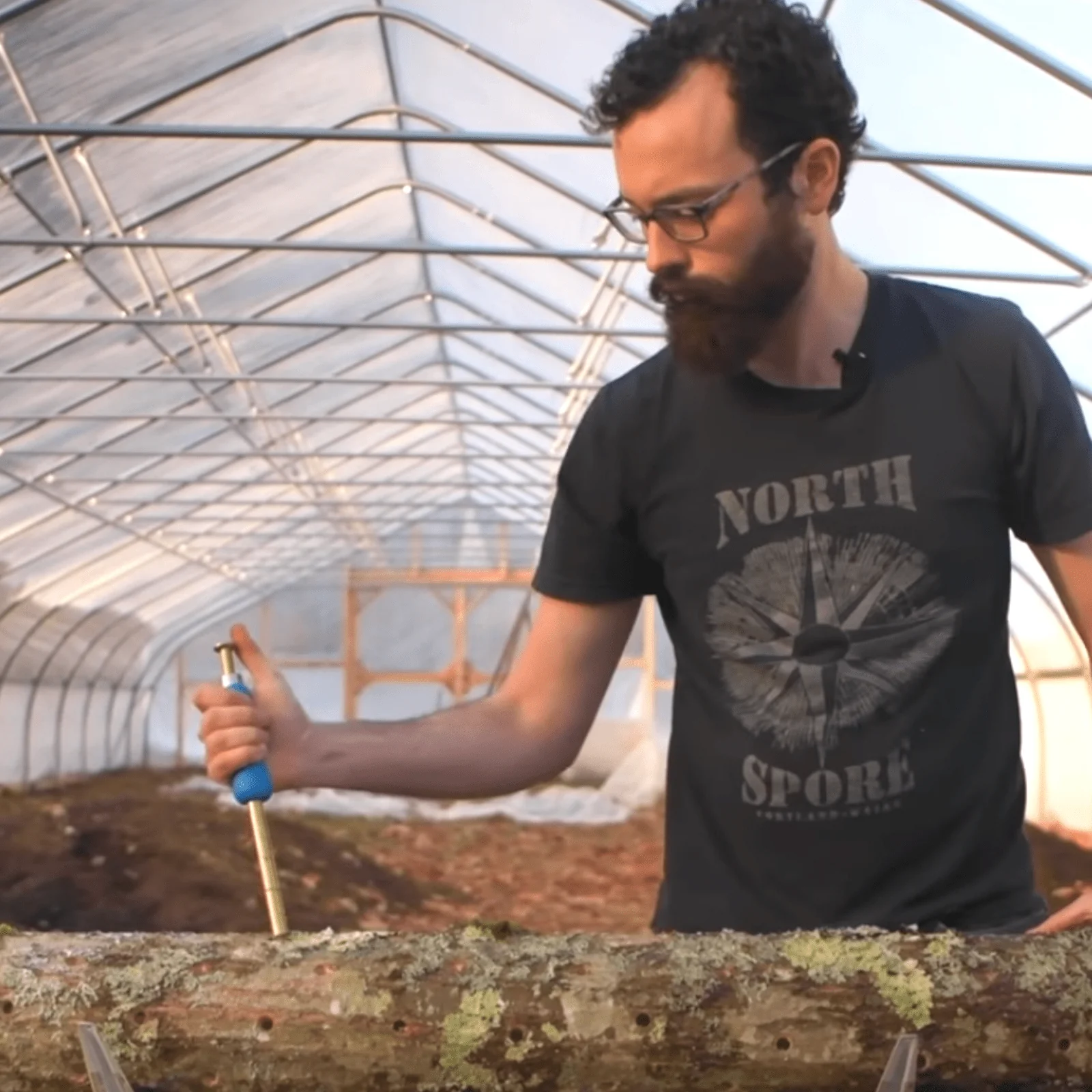 Sawdust Spawn Thumb Press Log Inoculation Tool - Image 3