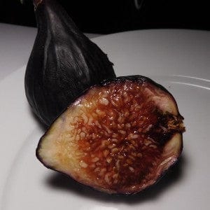 Violette de Bordeaux Fig (Negronne) - Image 3